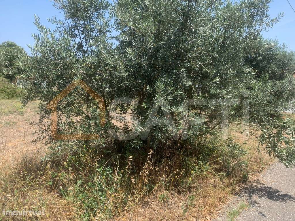 Terreno - Grande imagem: 5/5