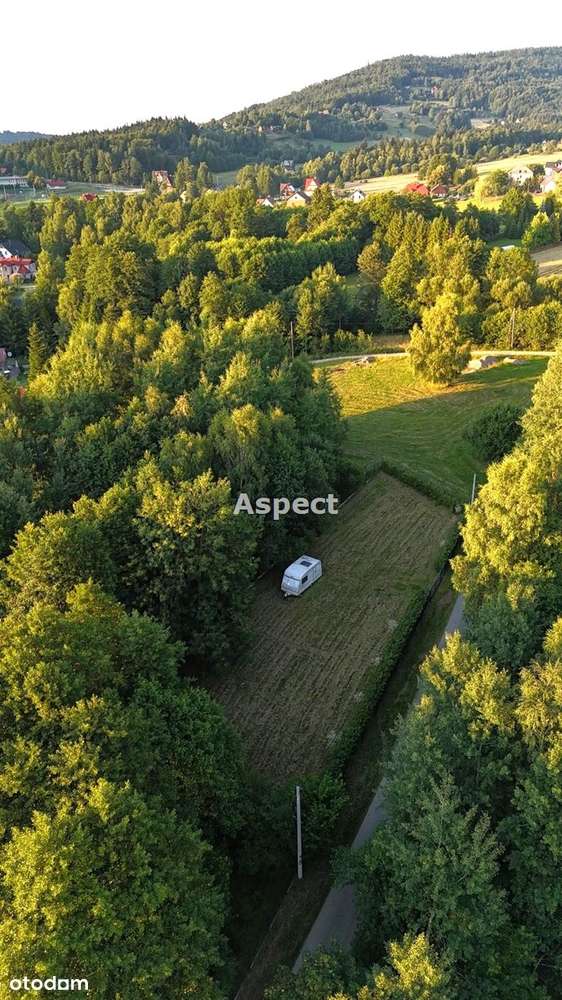 Twoje miejsce w Beskidach – działka - Koszarawa - Pełny obrazek: 4/10