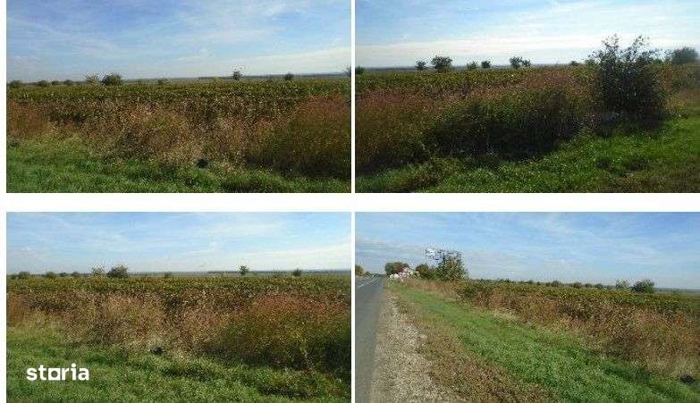 Teren extravilan Obrejita, ID: R2832813-2