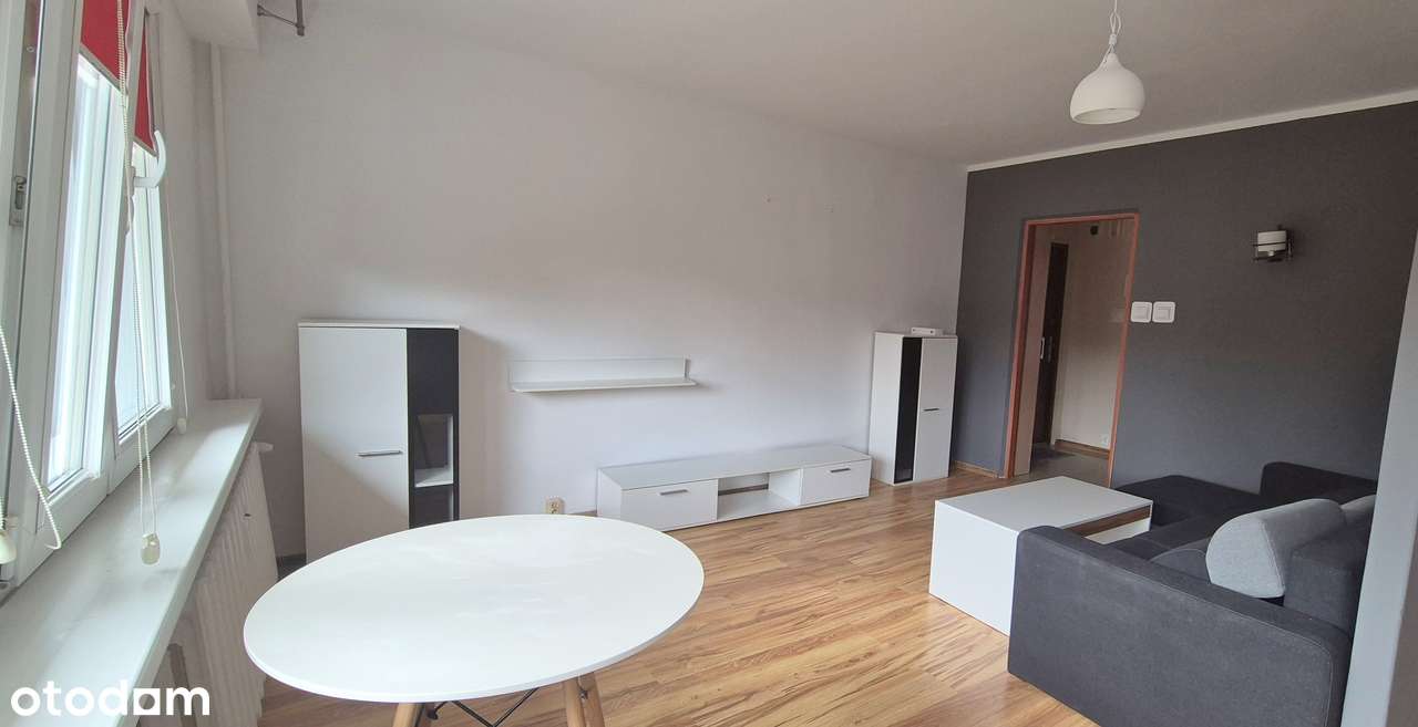 Wynajem/2 pokoje/Umeblowane/Południe - Pełny obrazek: 4/13