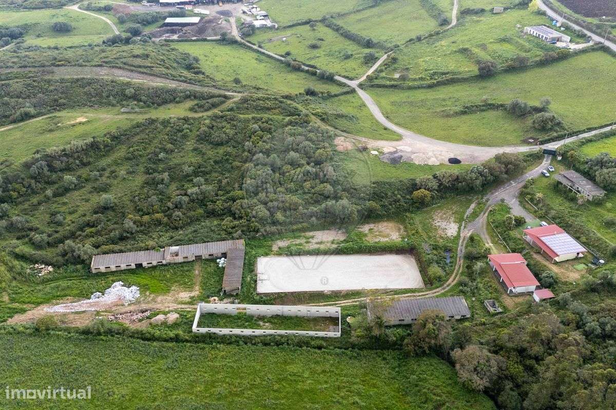 Quinta  para venda - Grande imagem: 5/14
