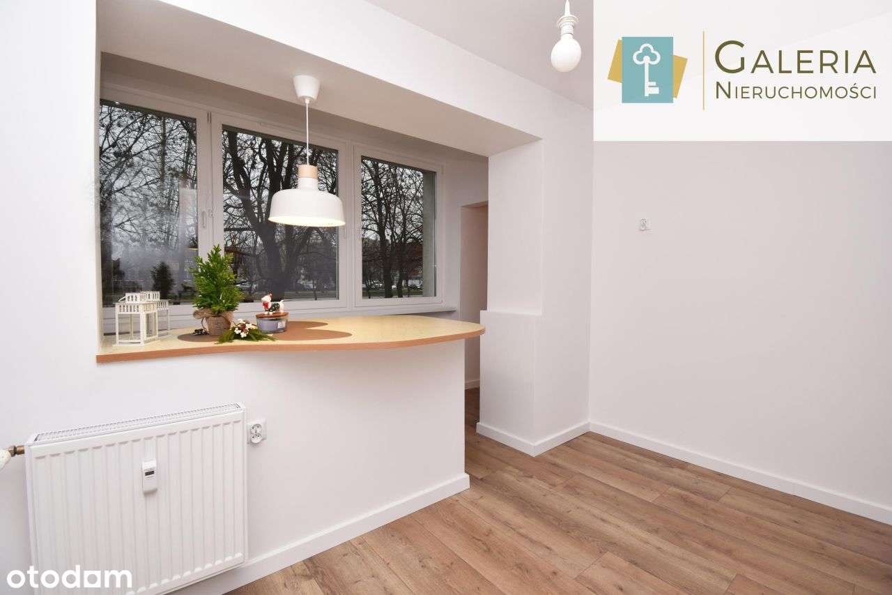 Przytulne mieszkanie po remoncie blisko Starówki! - Pełny obrazek: 3/15