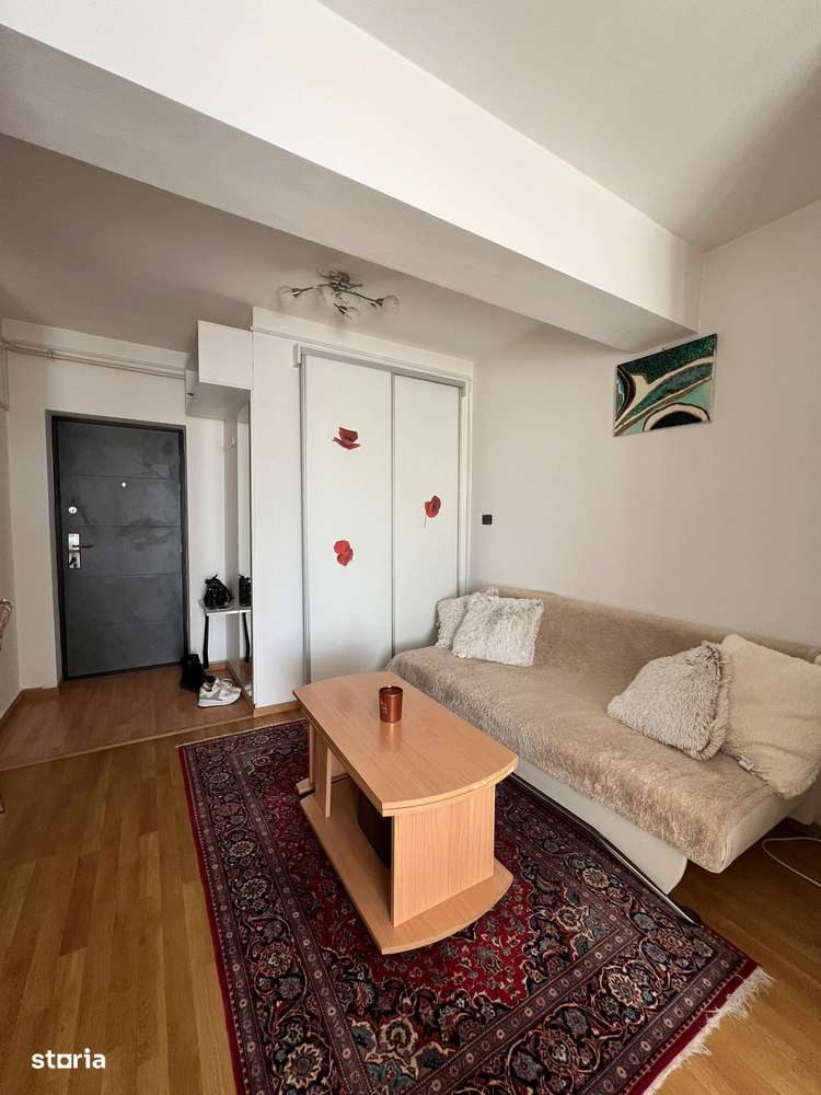 Apartament 1 camera de inchiriat in Aradul Nou - Imagine principală: 5/17