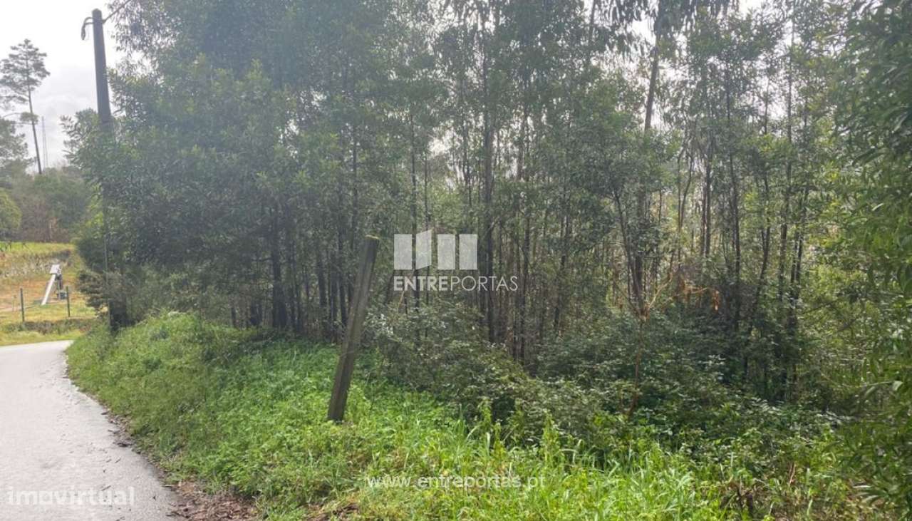 Venda Terreno, São Lourenço do Douro, Marco de Canaveses - Grande imagem: 4/29