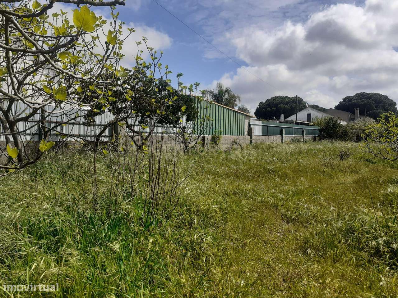 Terreno para Construção – Na Freguesia de Santo Isidro de Pegões | 629 - Grande imagem: 5/5