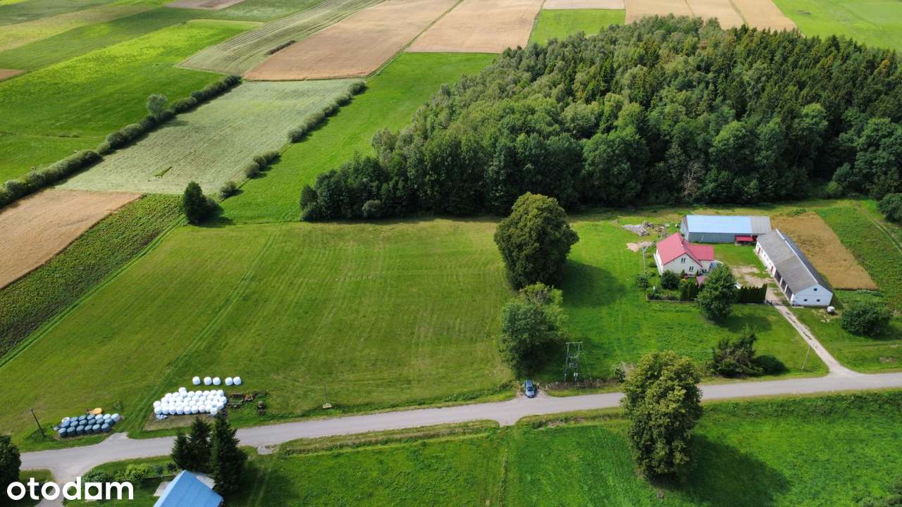 Becejły - dwie działki pod budowę - Pełny obrazek: 4/15