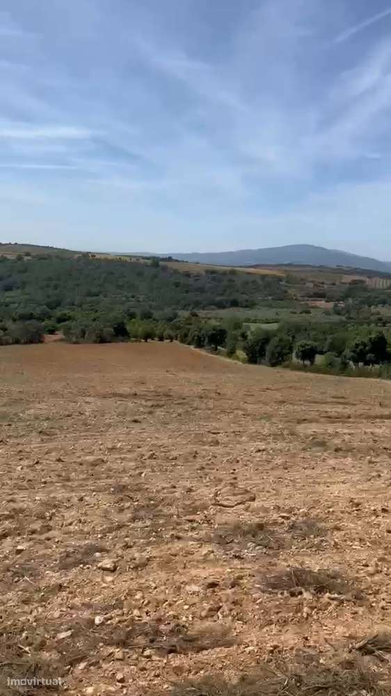 Terreno de cultivo com 600.00 m2 em M. de Cavaleiros.-3