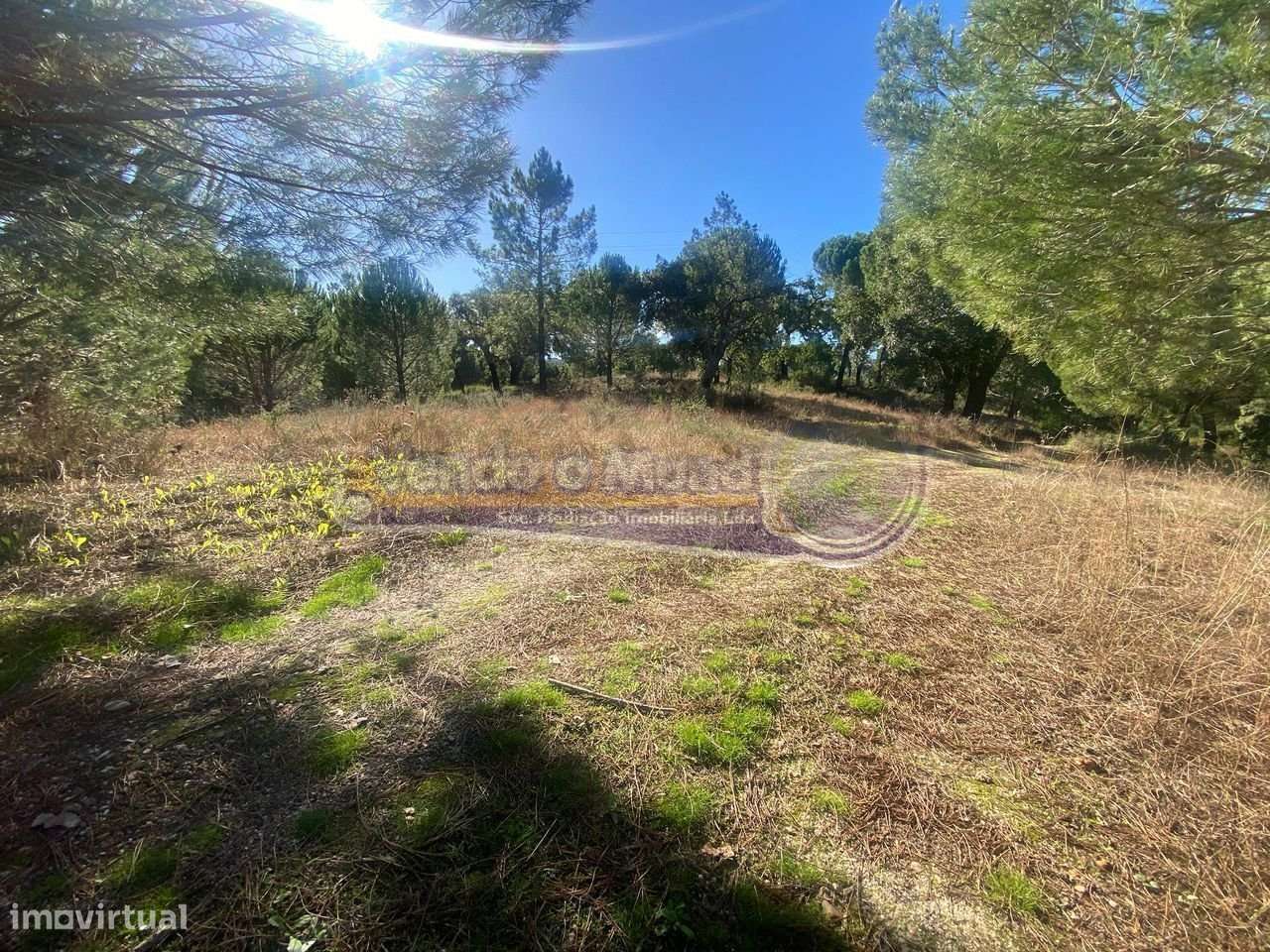 Terreno em Montargil (MTG002)-3
