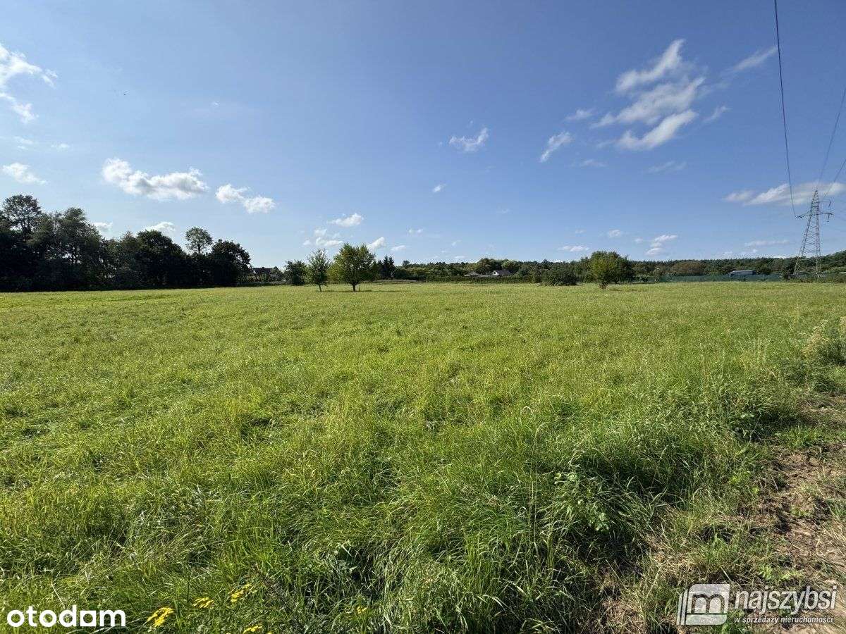 Białogard-Ogromna Działka Pod Miastem - Pełny obrazek: 5/12