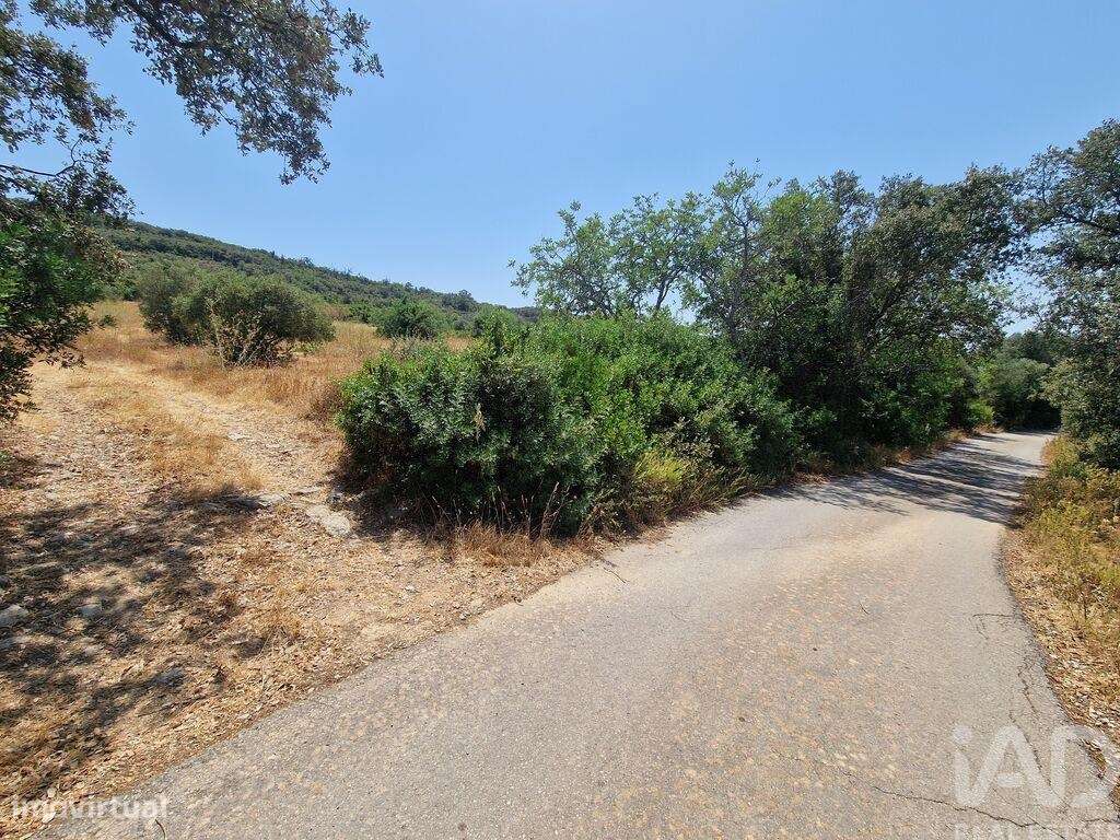 Terreno em Santa Bárbara de Nexe - Grande imagem: 5/23
