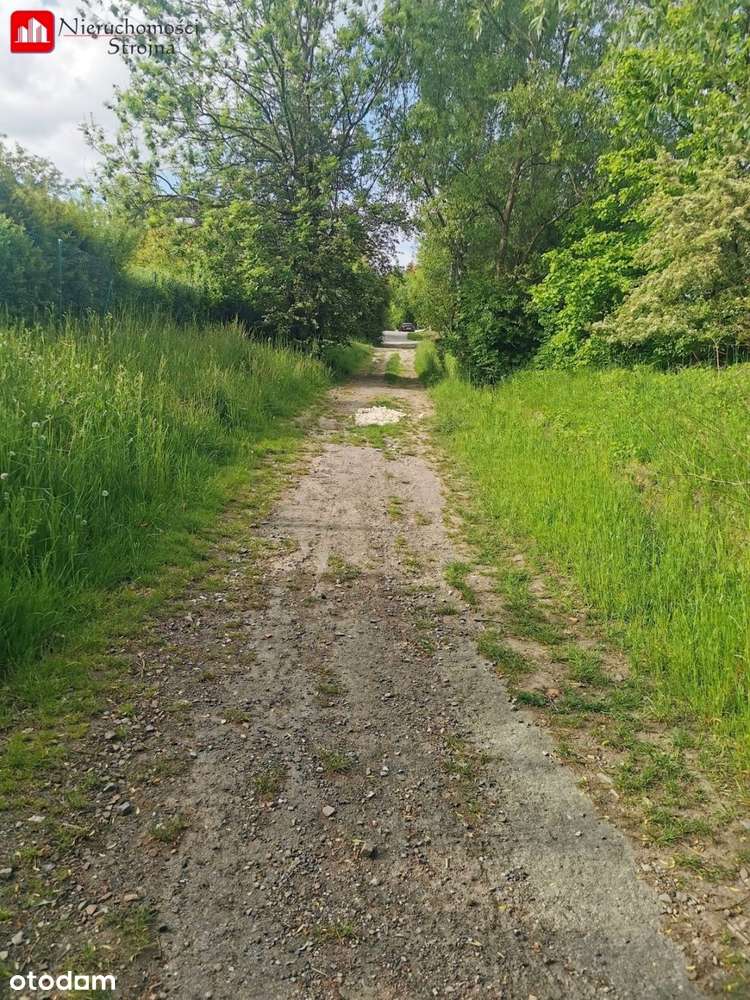 Kraków ul. Zbydniowicka 42,86a - Pełny obrazek: 5/10