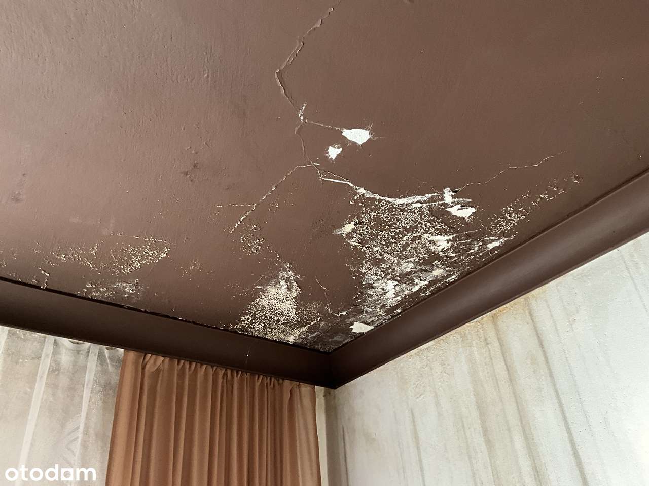 syndyk sprzeda udział 1/2 w domu - Pełny obrazek: 5/20