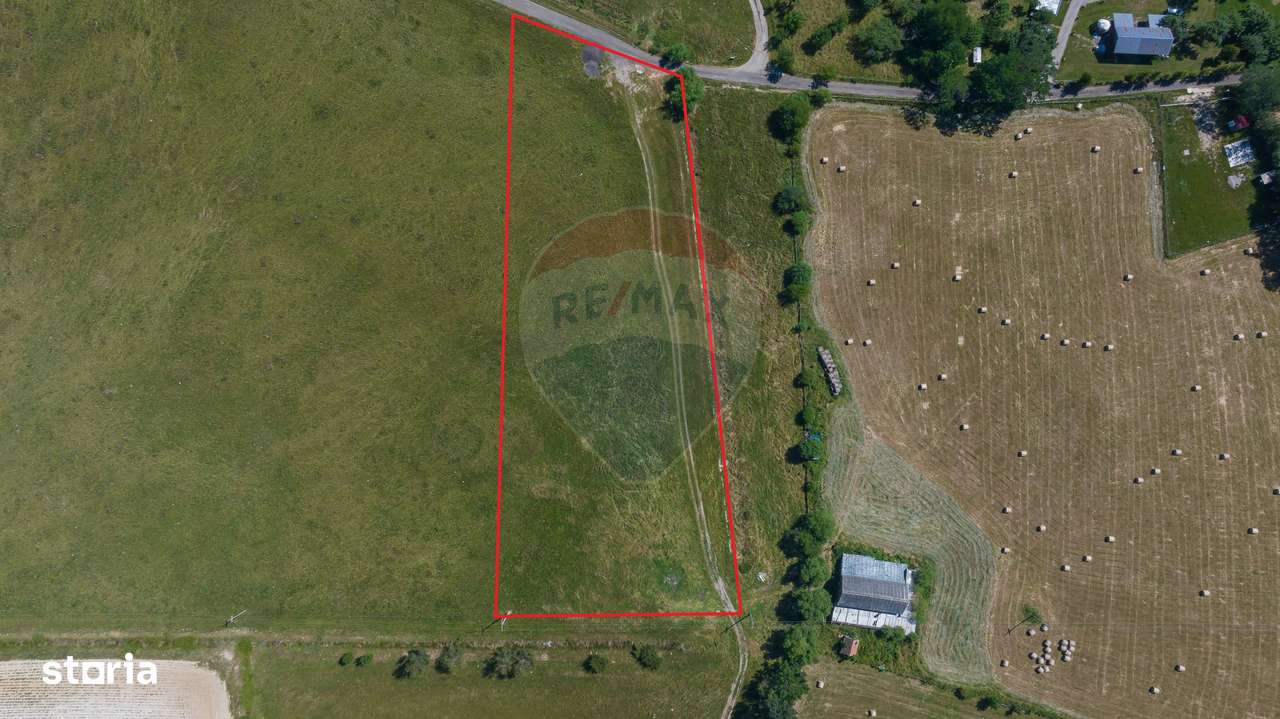 Teren Bran -Sohodol, Strada La mesteceni, 6900mp - Imagine principală: 5/17