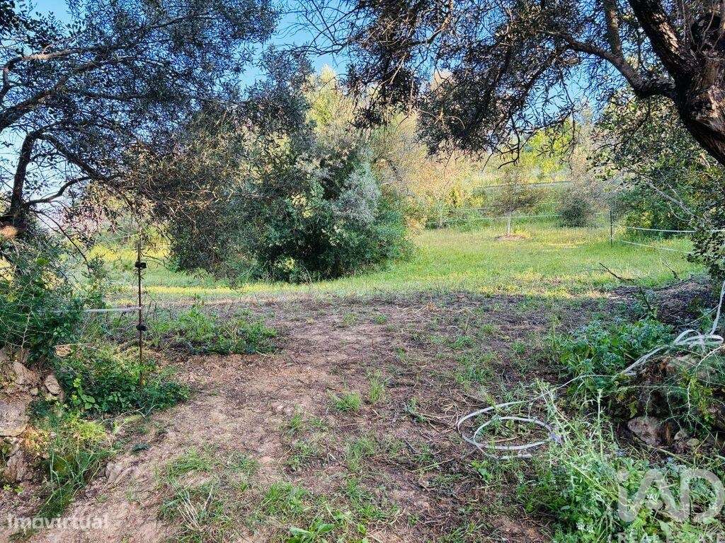 Terreno em Paderne de 3280,00 m2 - Grande imagem: 4/14