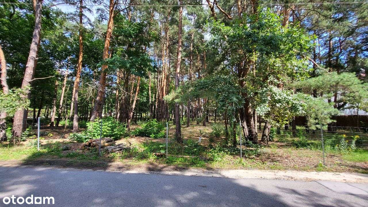 KONSTANCIN  3316 m2, ul. Leśna NOWA NIŻSZA CENA - Pełny obrazek: 5/8