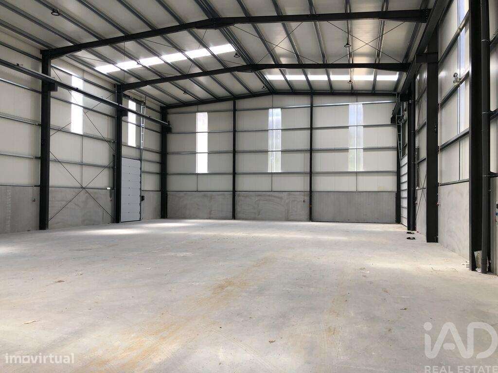 Comércio diverso em Matas e Cercal de 1052,00 m2 - Grande imagem: 5/11