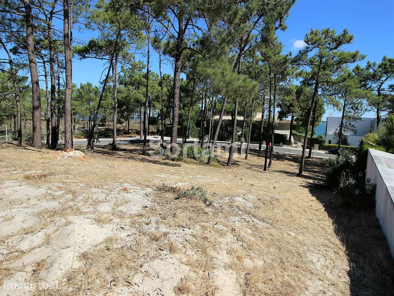 Terreno Para Construção  Venda em Carvalhal,Grândola - Grande imagem: 5/7