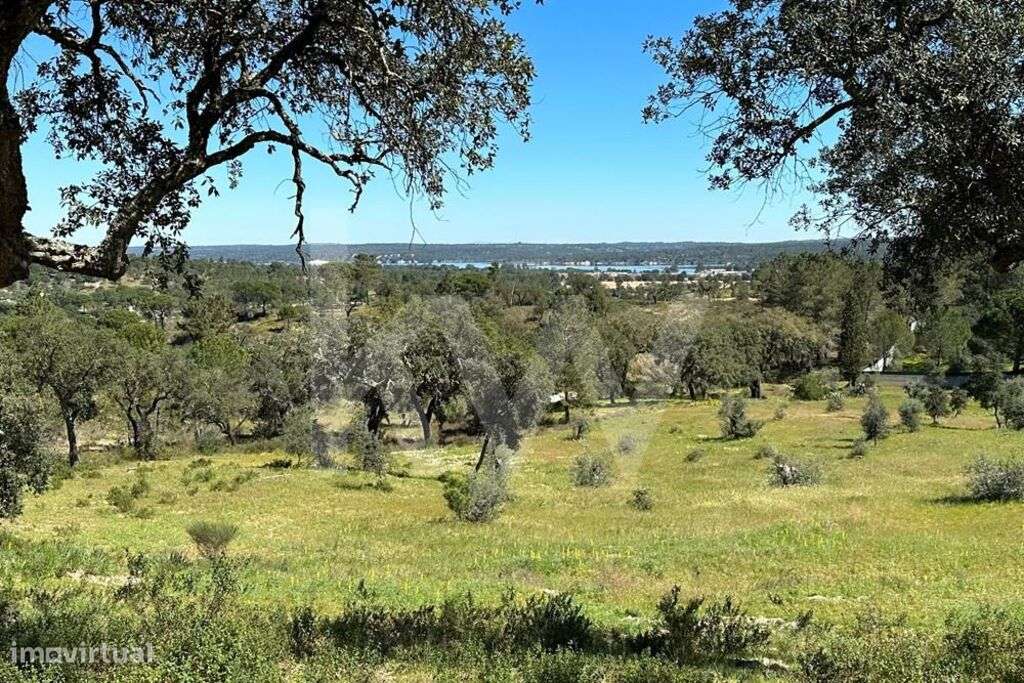 Terreno 5,1ha Montargil - Grande imagem: 4/9