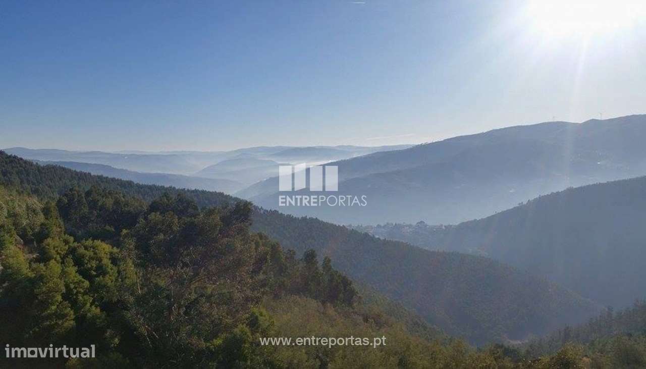 Venda Terreno,Tresouras, Baião - Grande imagem: 1/13