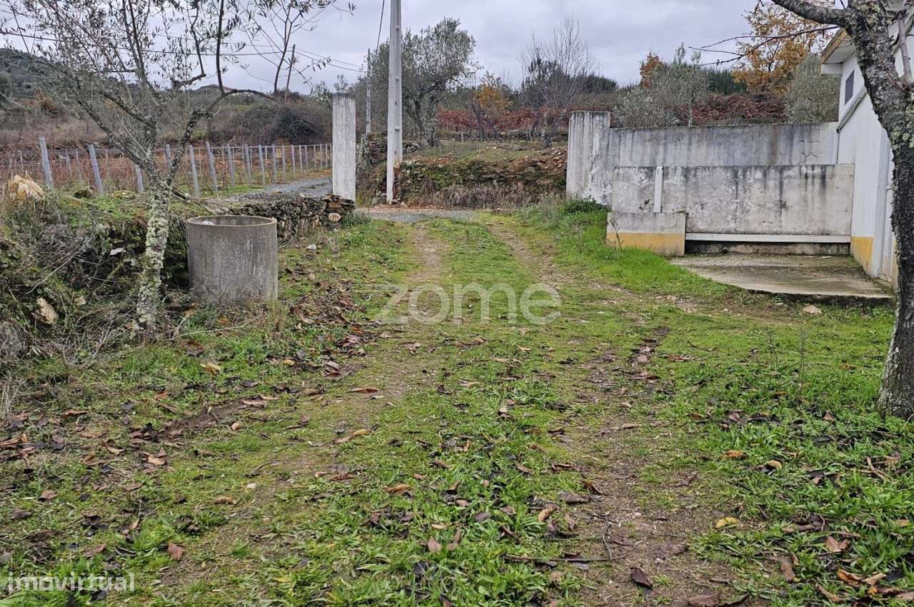 Terreno Agrícola – 22.800 m² – Vilar de Maçada, Alijó-11