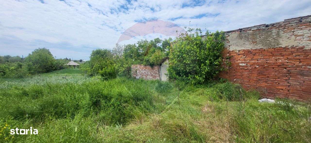 Teren Aradul Nou–2.311mp cu livadă și utilități, ideal pentru locuinte - Imagine principală: 5/13