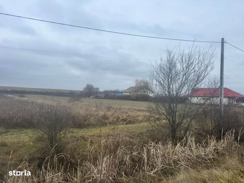 Teren 28 ari, drum principal - Imagine principală: 4/5