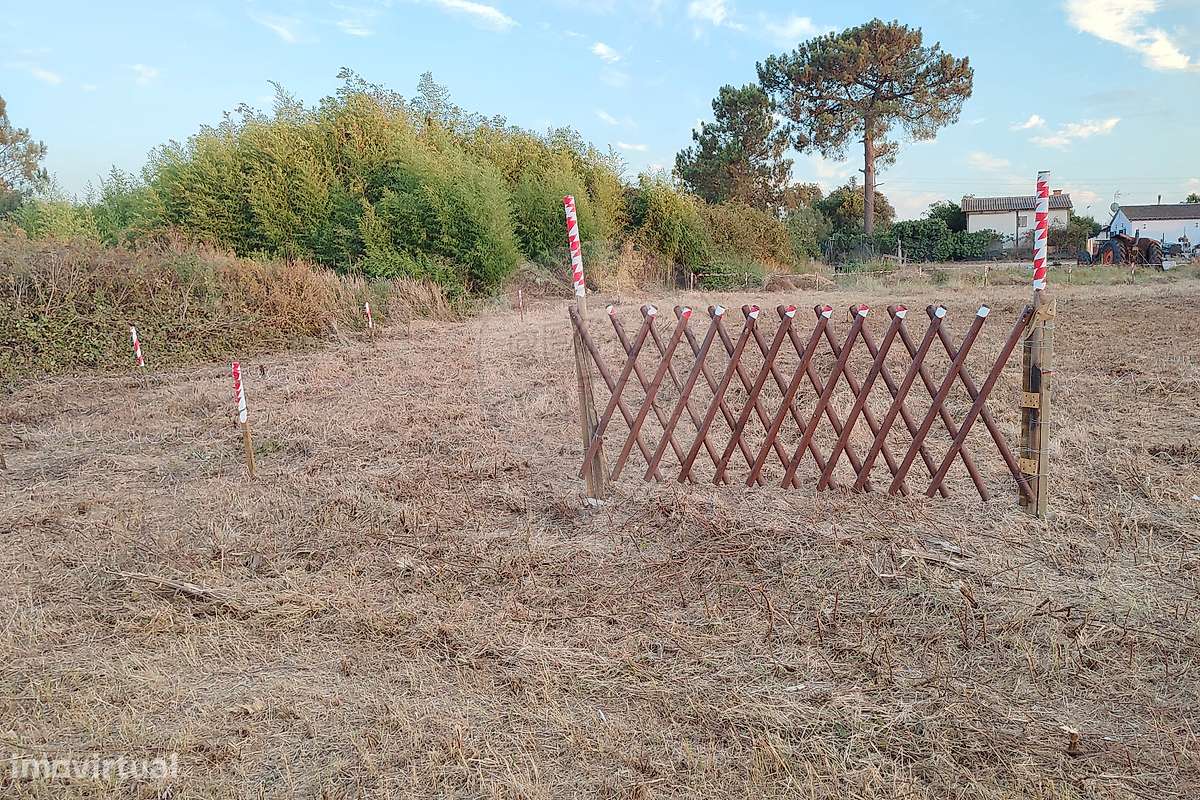 Terreno  para venda-3