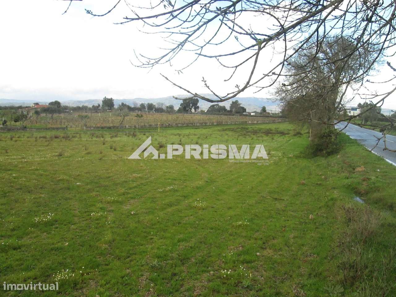 Terreno Rústico à Venda na Lardosa - Grande imagem: 5/38