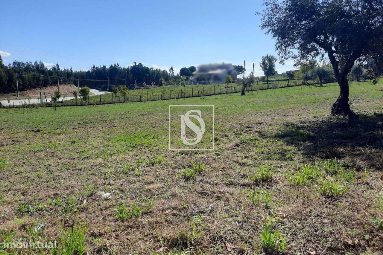 Terreno junto Zona Industrial Mortágua - Grande imagem: 4/5