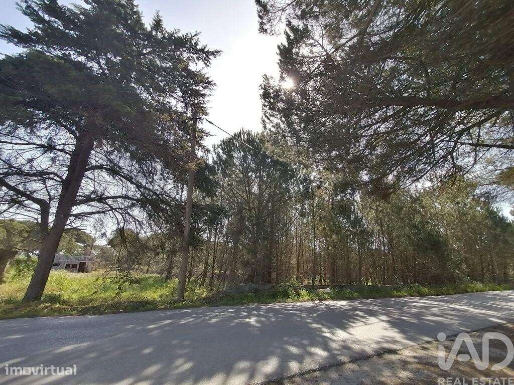 Terreno para construção em Sesimbra (Castelo) - Grande imagem: 4/13