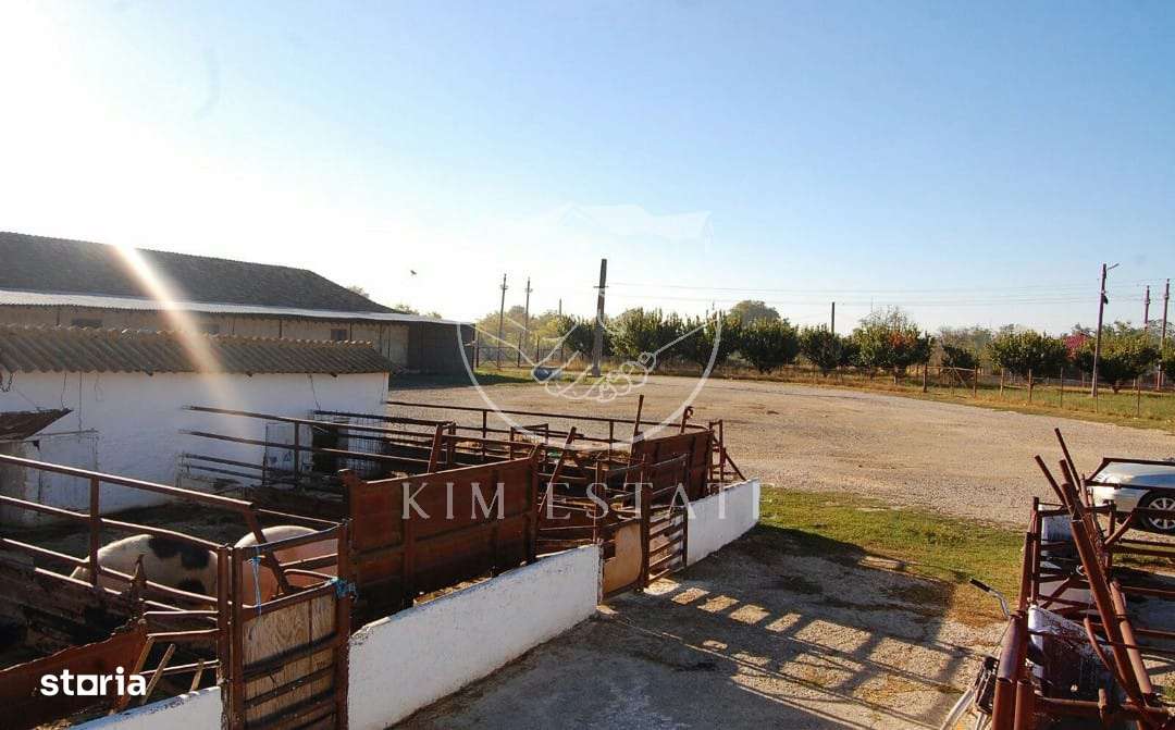 De vanzare ferma N.Balcescu-7
