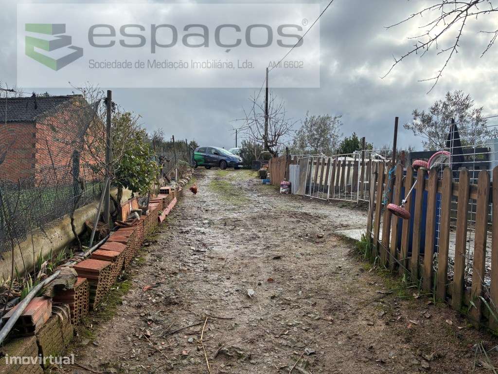 Magnifica Quinta a confinar com Rio Zêzere-24