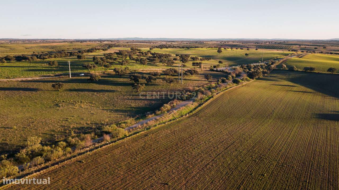 Herdade dos Castelhanos -  190 Hectares, Moura, Alentejo-2