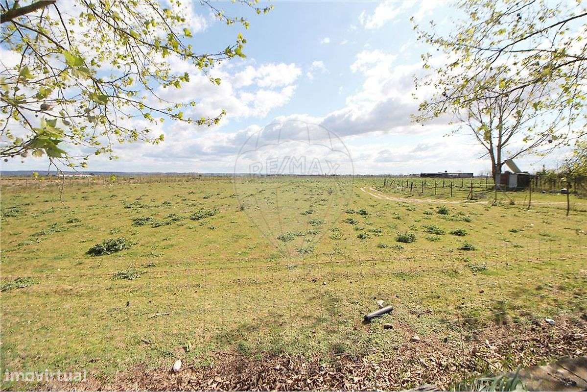 Investimentos T4 para venda - Grande imagem: 4/23