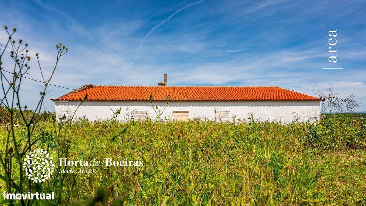 Imóvel Exclusivo | Hortas das Boeiras-6