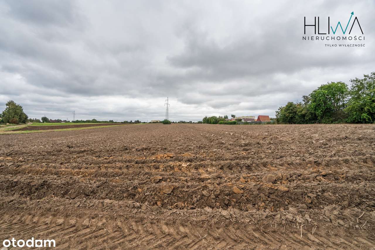 Działki rolne Gdynia Obłuże, powierzchnie od 3003 m2-13