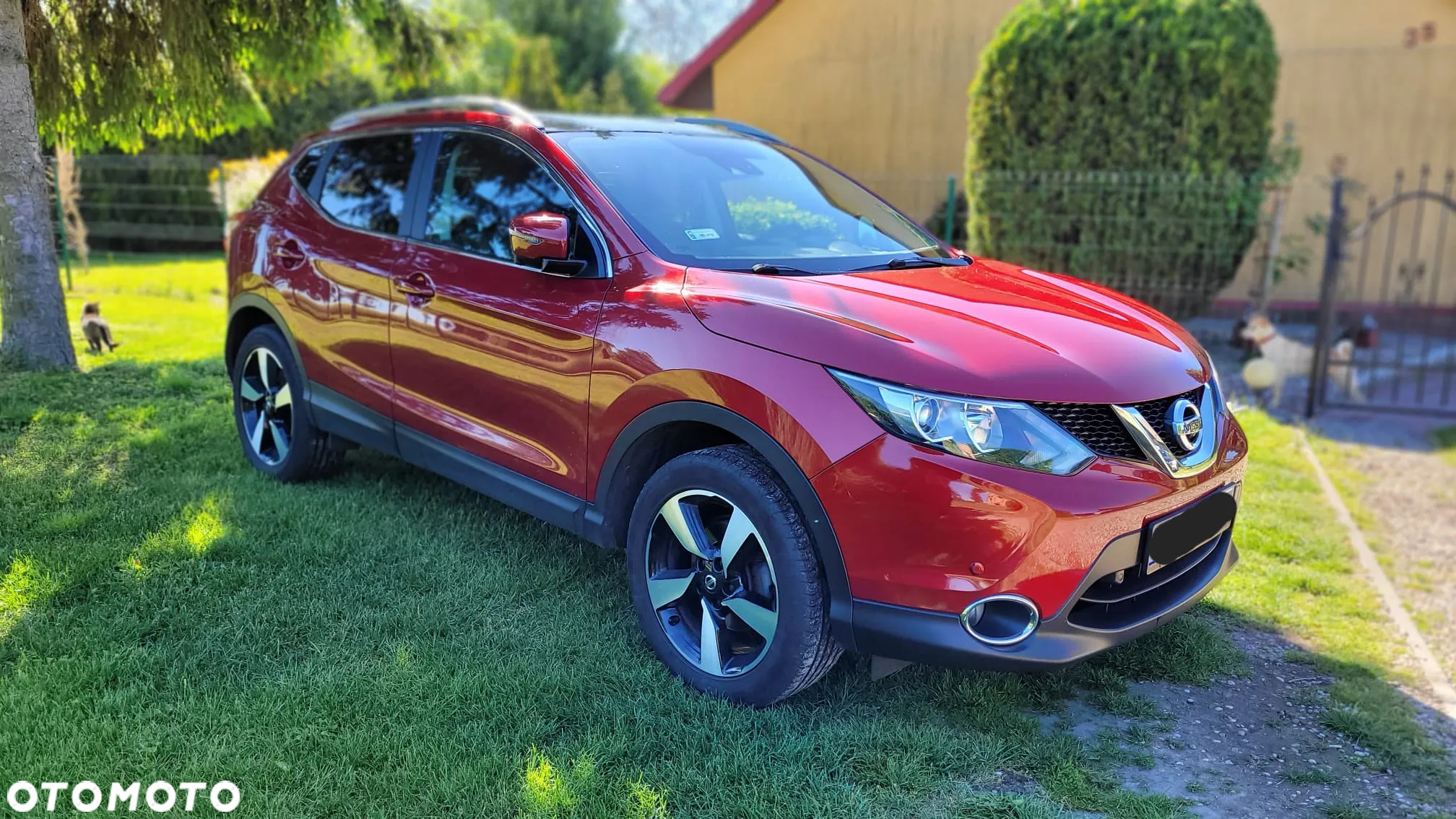 Nissan Qashqai 1.2 DIG-T N-Connecta - 6