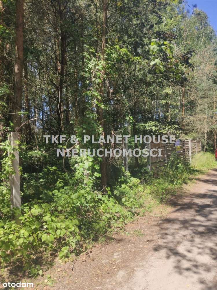 Działka Na Sprzedaż 3100M2 W Miedznej Murowanej - Pełny obrazek: 5/5