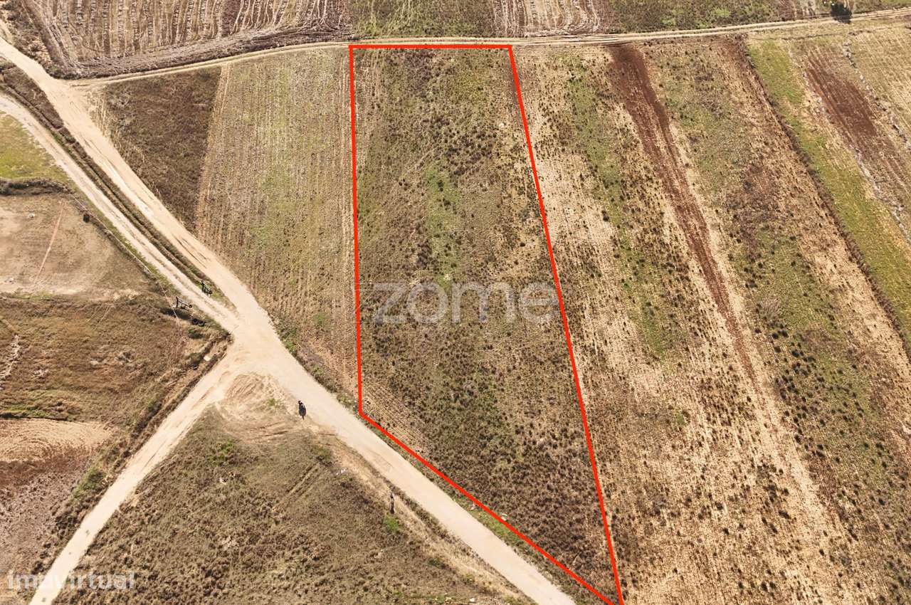 Terreno em Tunes - Grande imagem: 4/17