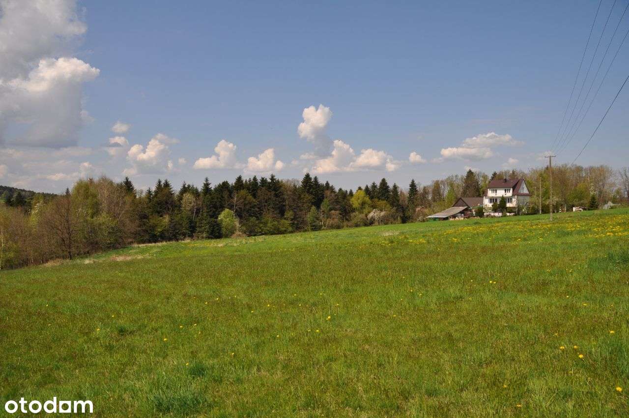 Grabie (gm. Łapanów) - budowlano-rolna - Pełny obrazek: 5/5