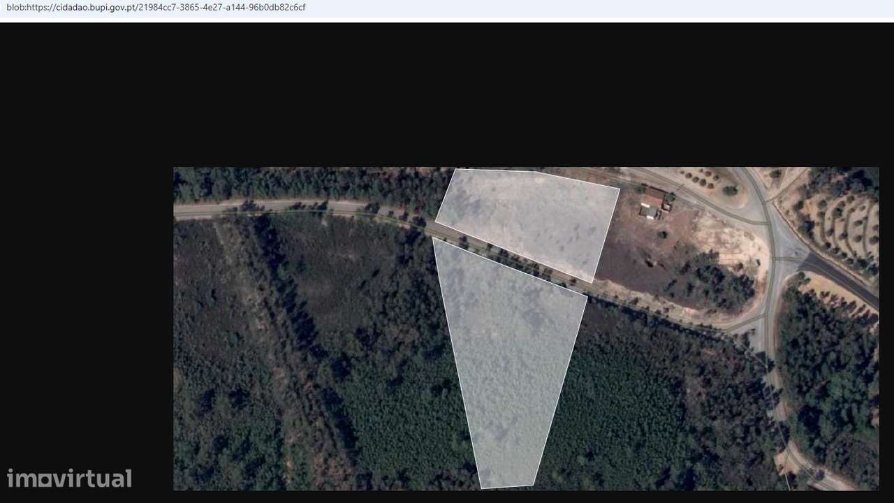 Terreno 6.800m2 eucaliptos e pinheiros em Vila de Rei-2