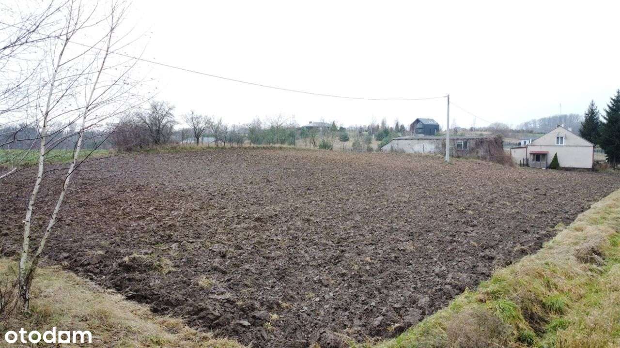 Działka w pobliżu jeziora - Łapinóżek-16