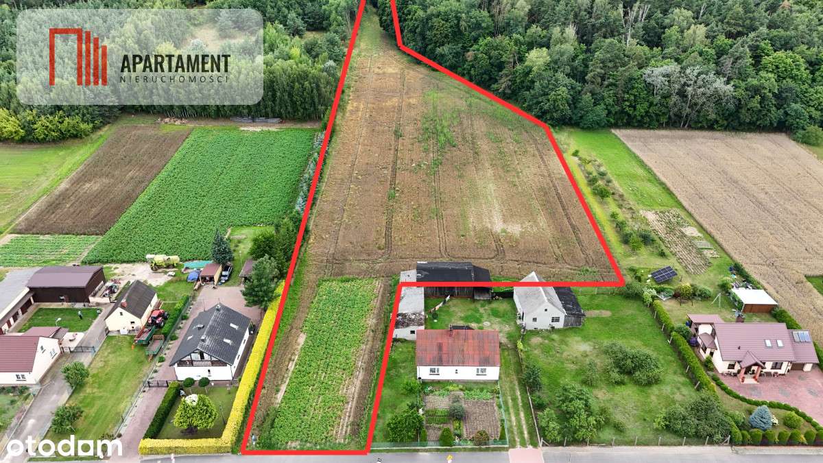 Tylko u nas! Działka 1,13 ha Gruczno media WZ - Pełny obrazek: 2/9