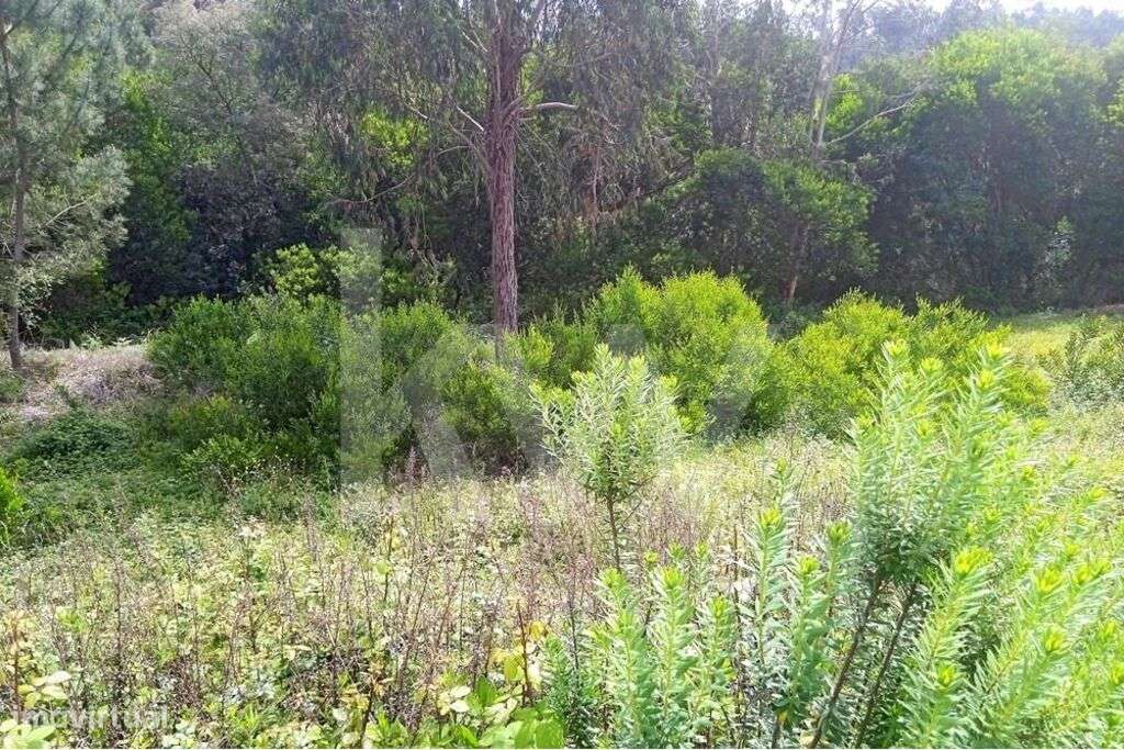 Lote de Terreno | 689m2 | Casal Fernão João | Pombal - Grande imagem: 5/14