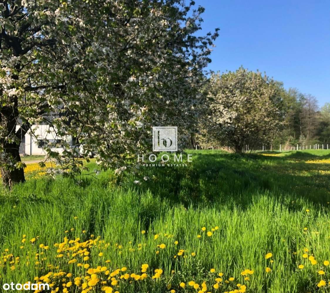 Piękna Działka 2200m2, Stare Czereśnie - Pełny obrazek: 4/5