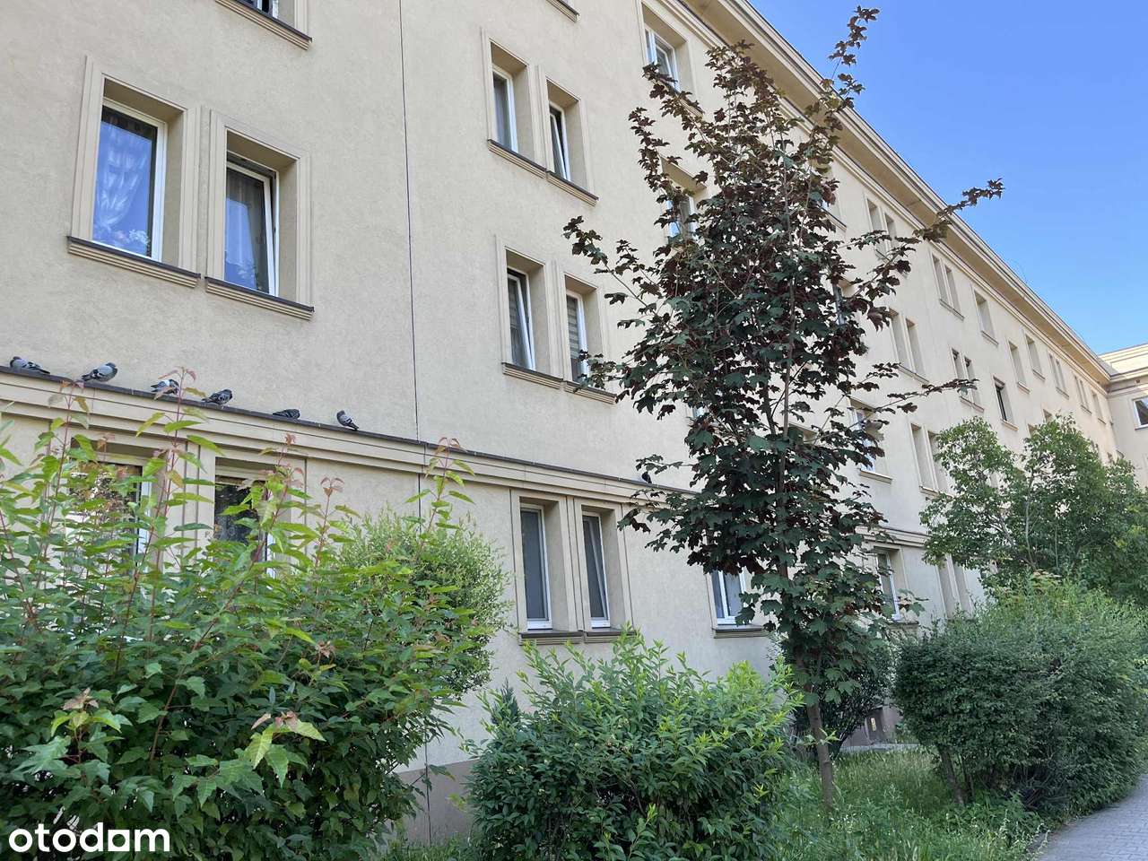 Mieszkanie typu M-3 w Katowicach w dzielnicy Koszutka na sprzedaż.-11