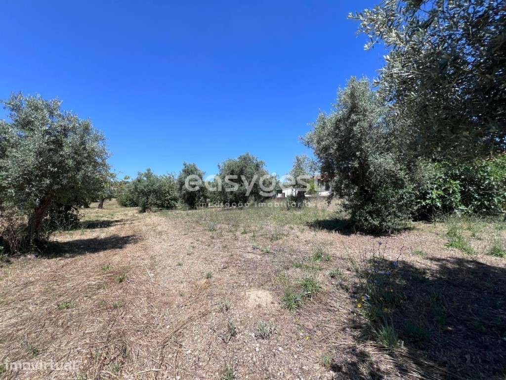 Terreno para construção bem localizado junto a cidade de Tomar - Grande imagem: 3/15