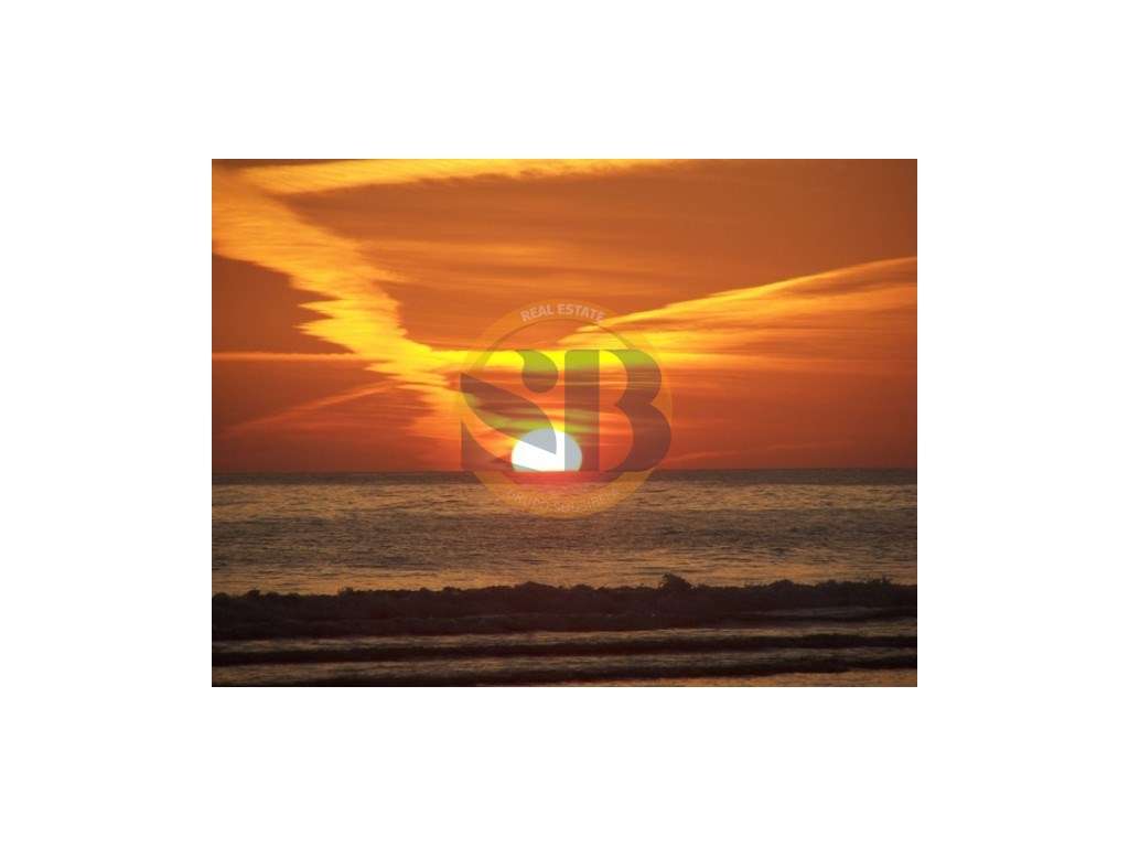 Terreno em OVAR - Grande imagem: 1/1