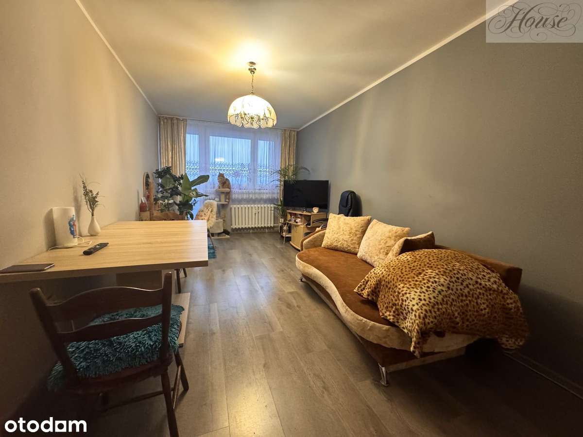 Zadbane 2-pokojowe mieszkanie vis-à-vis Sky Tower-4