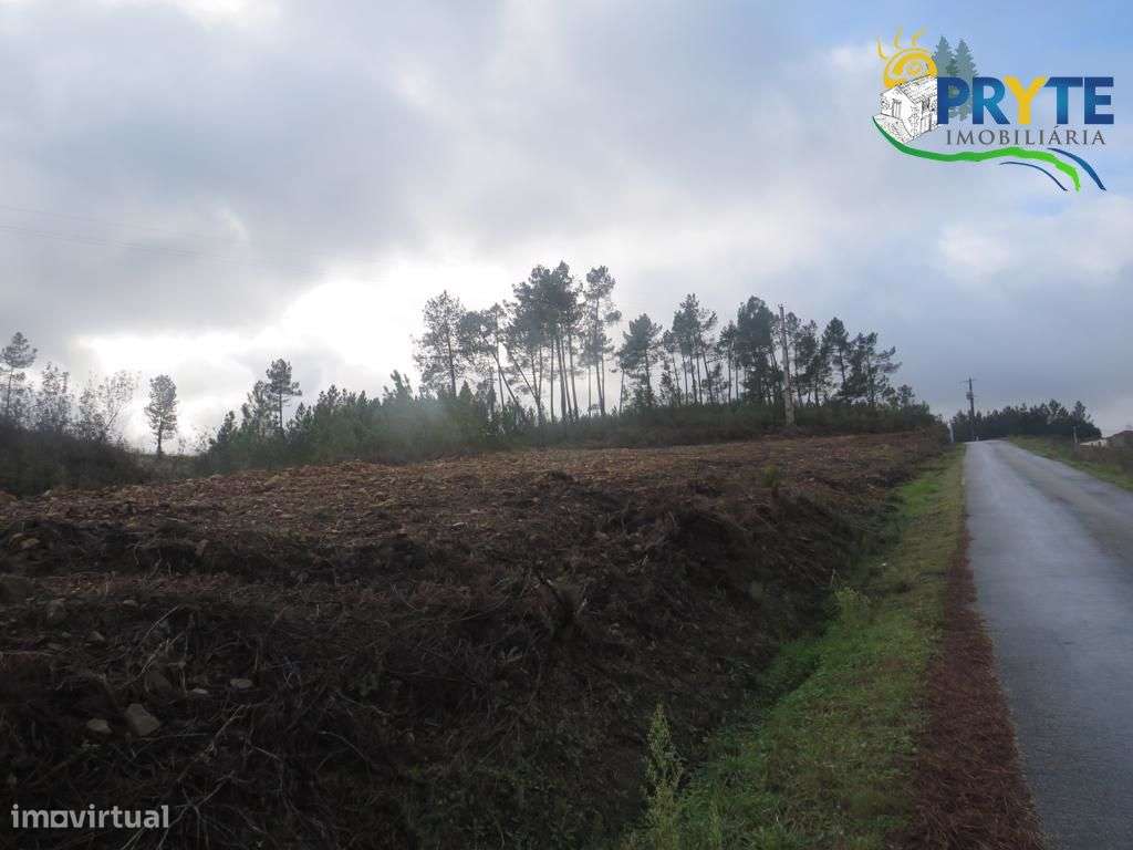 Propriedade com 4.844 metros quadrados situada a 10 km da Sertã - Grande imagem: 4/28